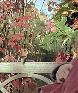 1040.jpg