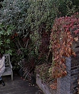 1965.jpg