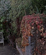 1967.jpg