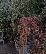 1968.jpg