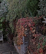1969.jpg