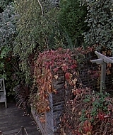 1970.jpg