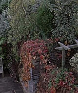 1971.jpg