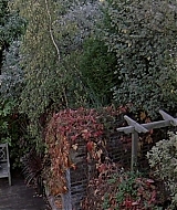 1972.jpg