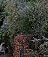 1973.jpg