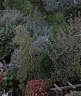 1975.jpg