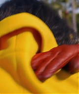 1252.jpg