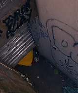 1263.jpg